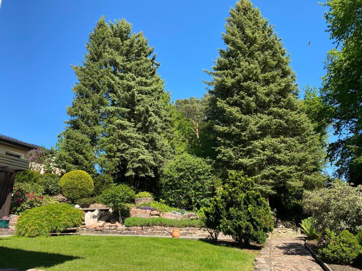 Odenwald Chalet إرباخ المظهر الخارجي الصورة