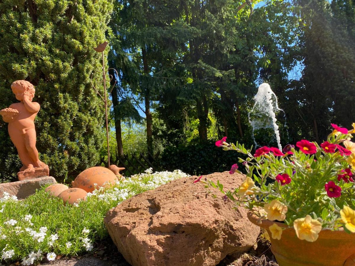 Odenwald Chalet إرباخ المظهر الخارجي الصورة