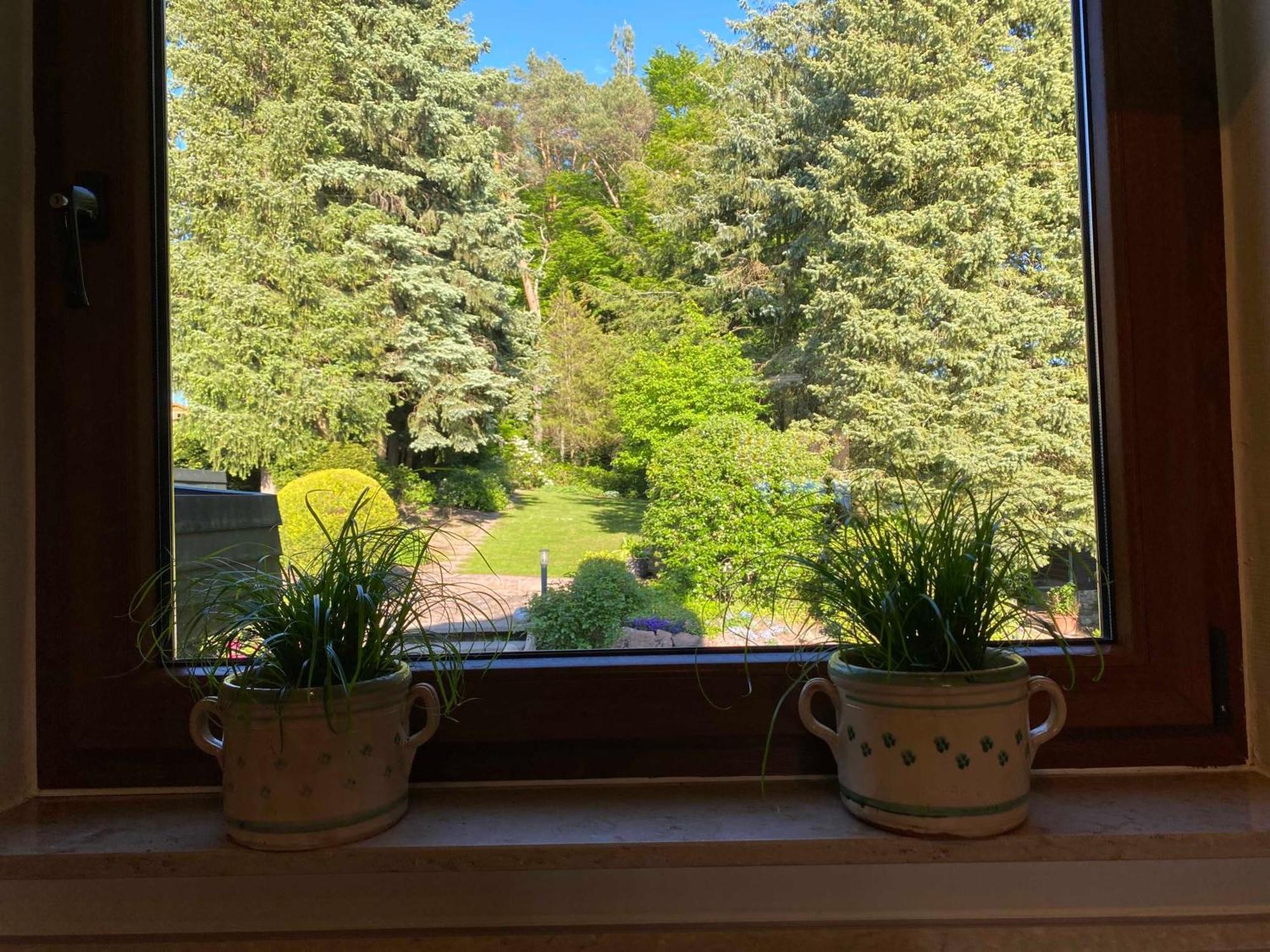 Odenwald Chalet إرباخ المظهر الخارجي الصورة
